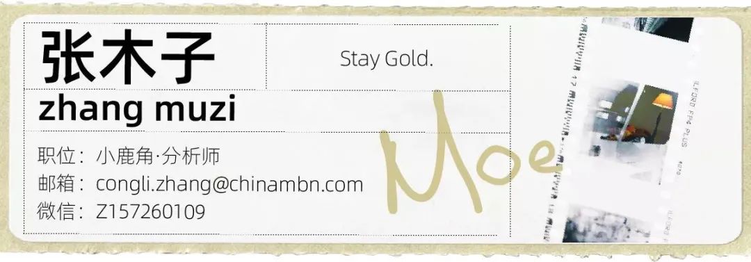 迷笛音乐节摇滚的乌托邦,迷笛音乐节2004