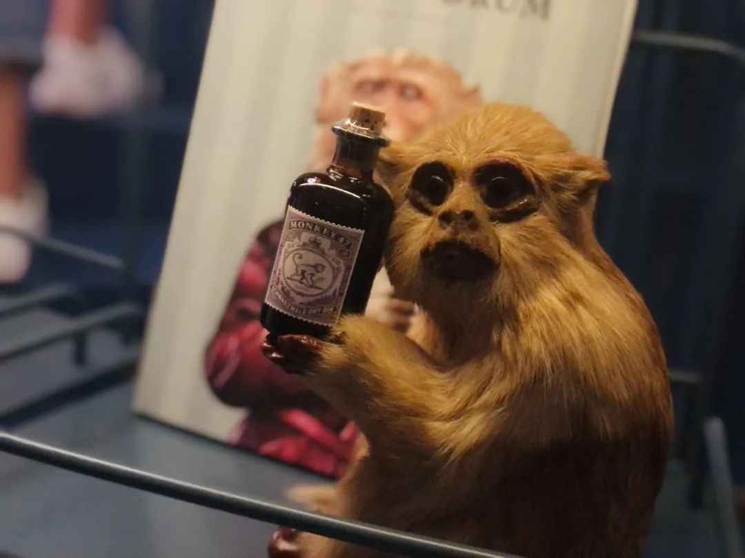 所有的酒都接受“外带”|这里是可以逛的酒吧,也是可以玩的零售店