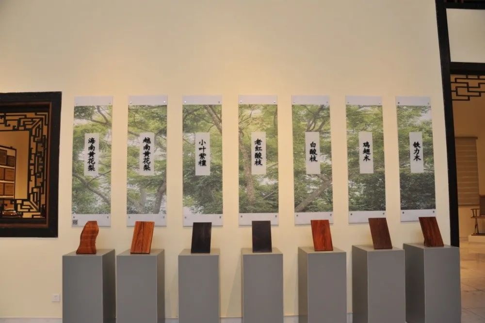 鲁班仿古家具,台山红木家具之乡