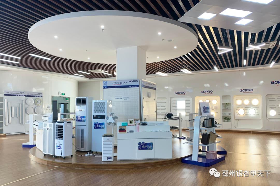 皇朝家私上市了吗,皇朝家私集团上市