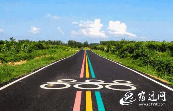 由“通”到“畅”再到“好”宿迁泗阳：“路”力同心书写乡村振兴答卷