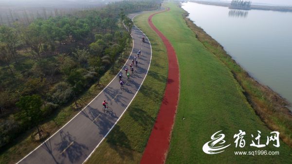 由“通”到“畅”再到“好”宿迁泗阳：“路”力同心书写乡村振兴答卷
