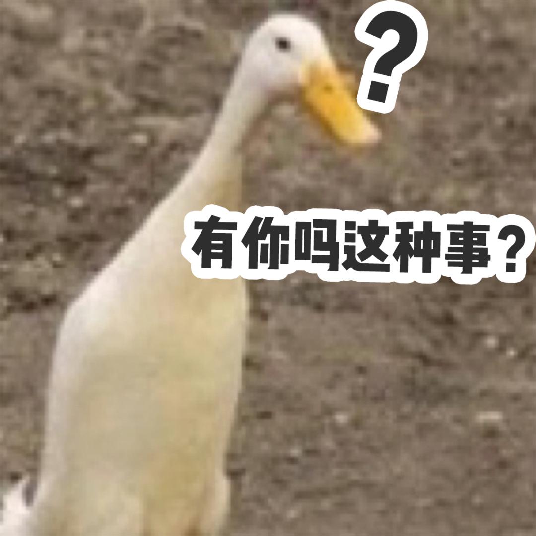 坐2小时高铁,坐2小时的高铁