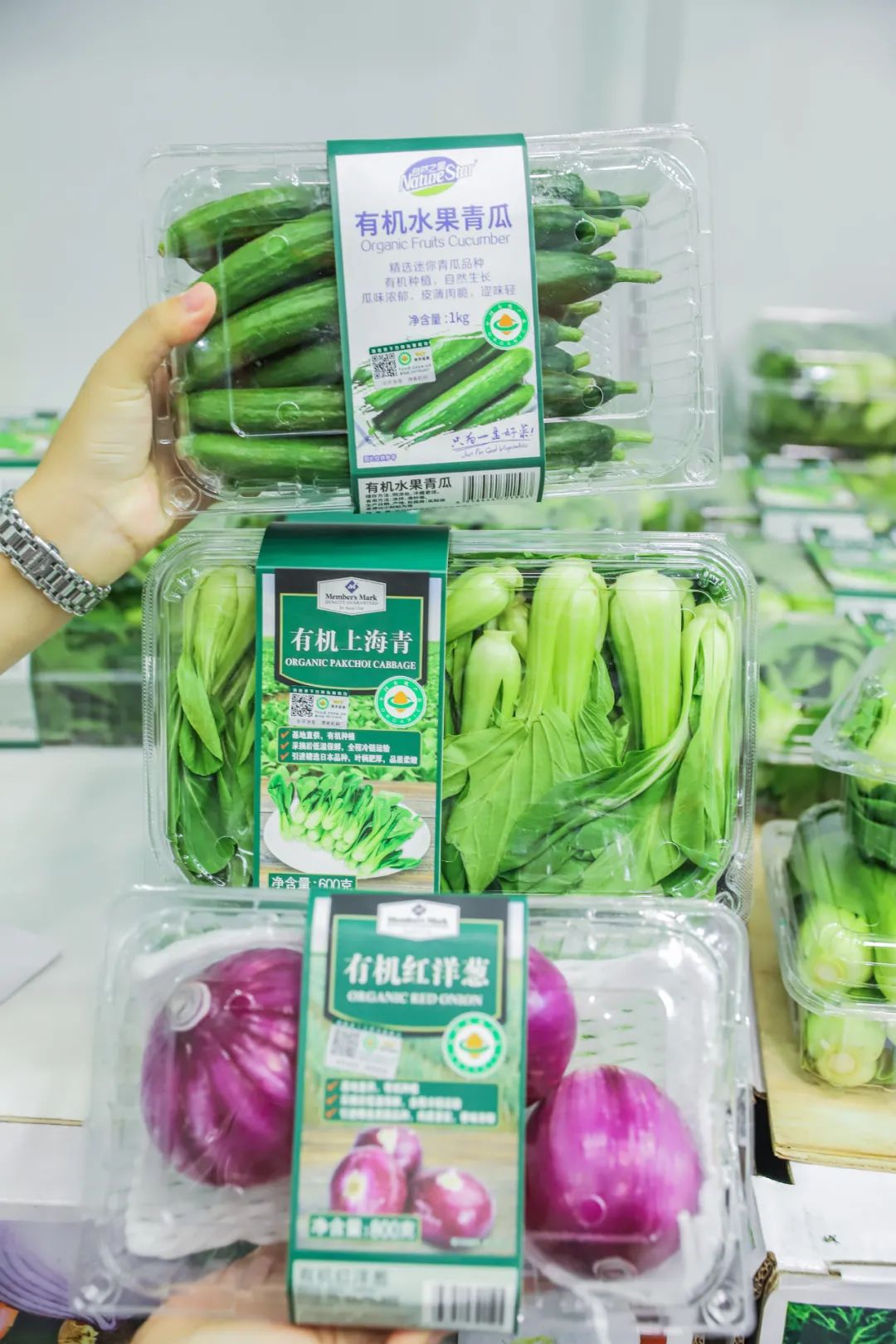 坐2小时高铁,坐2小时的高铁