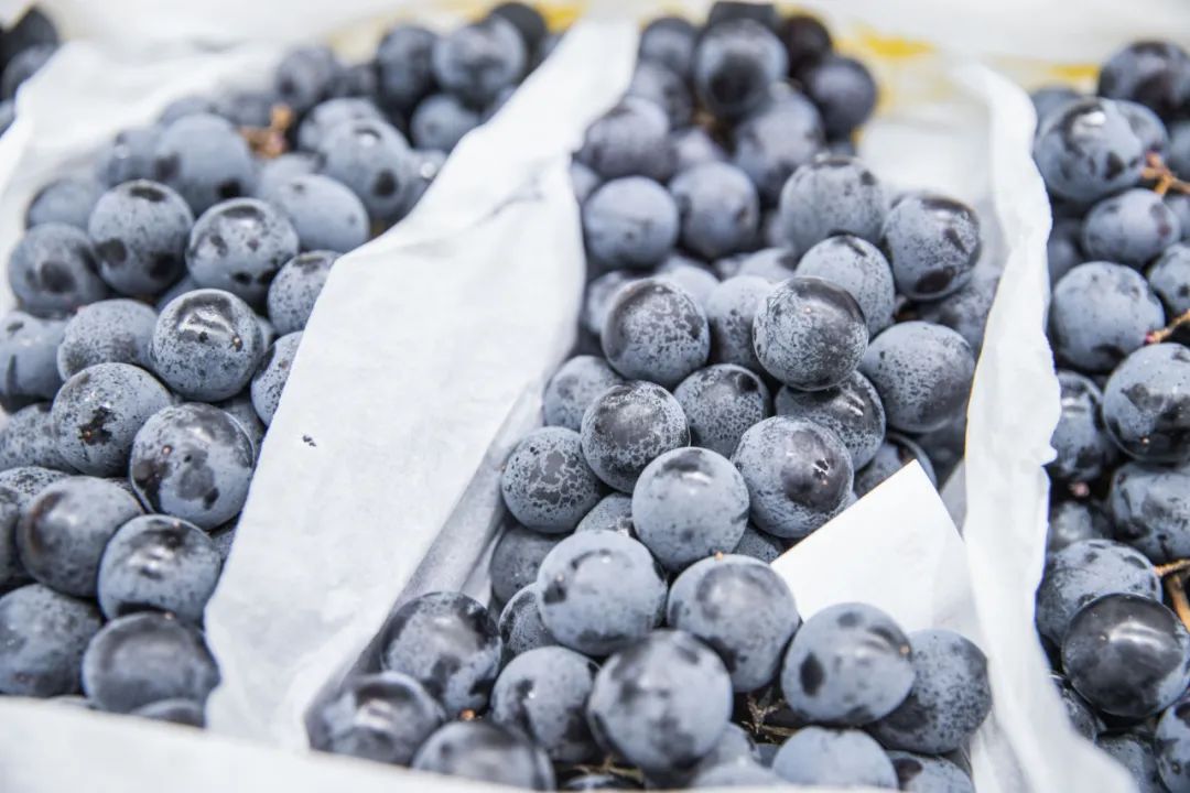 坐2小时高铁,坐2小时的高铁