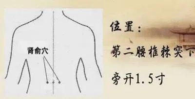 站久了腰痛用什么类型的护腰,长期卧床老人腰痛用什么护腰