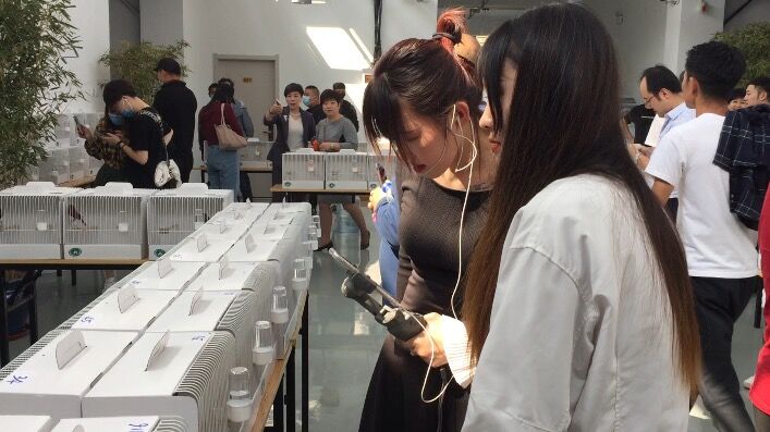 宠物交易受法律保护吗,宠物交易应不应该被禁止