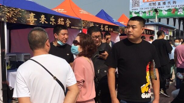 宠物交易受法律保护吗,宠物交易应不应该被禁止