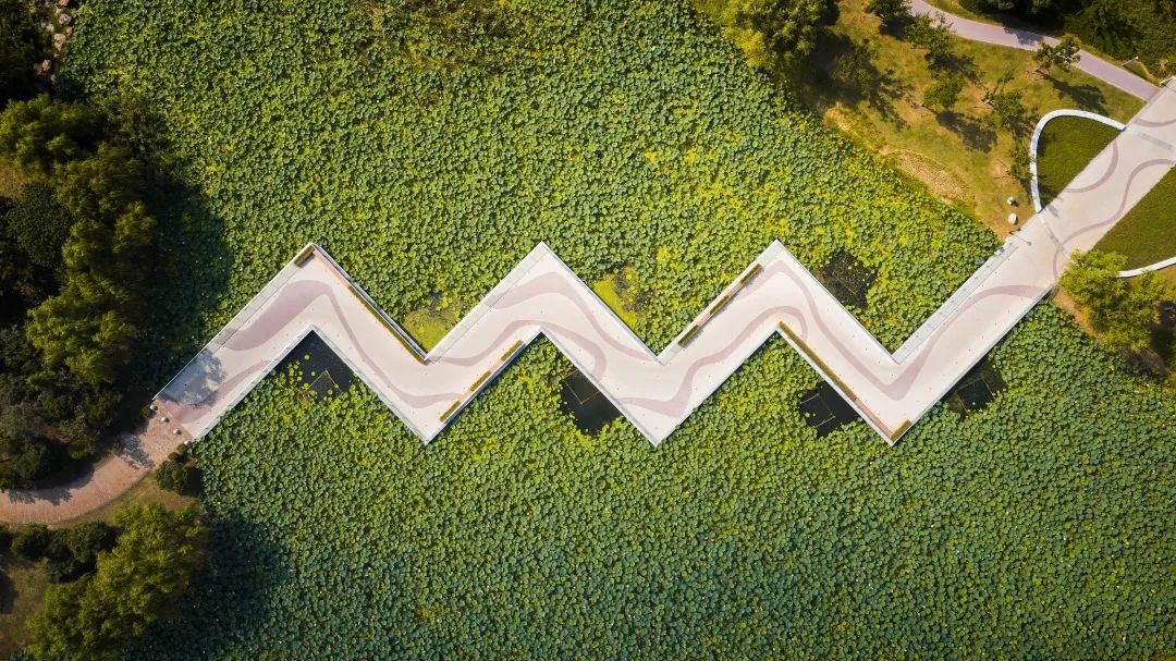 刚刚！东大学子又在这一顶级赛事中创佳绩！