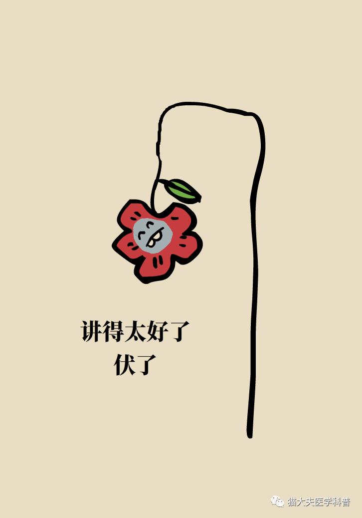 走几百米就痛得不行，这样的平脚板怎么治？