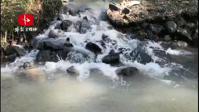 看万山红遍层林尽染全文图片,看万山红遍层林尽染全文朗诵