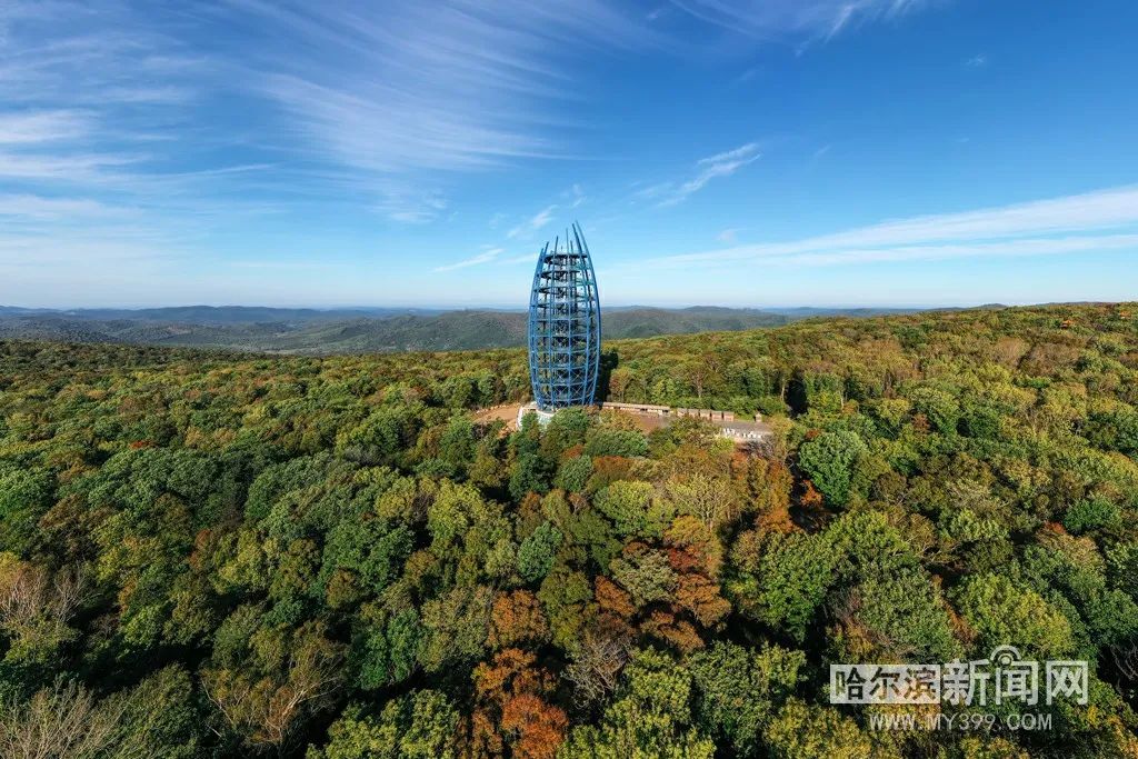 看万山红遍层林尽染全文图片,看万山红遍层林尽染全文朗诵