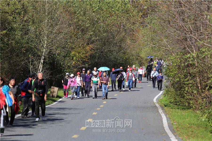 看万山红遍层林尽染全文图片,看万山红遍层林尽染全文朗诵