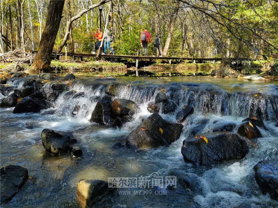看万山红遍层林尽染全文图片,看万山红遍层林尽染全文朗诵