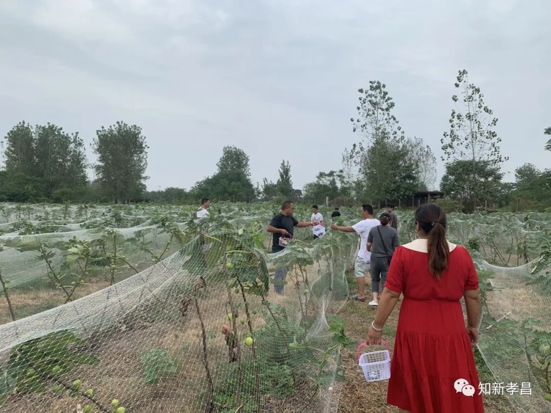 嘿,“糖包子”的故事你听过吗?