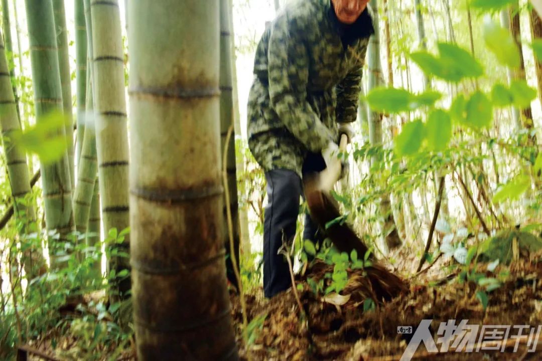 买一双新解放鞋,在有条件的情况下买双解放鞋