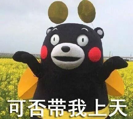 童年回忆杀！82岁的老成都第一代网红糕点铺重新开店啦！杜甫饼、芙蓉酥...快来