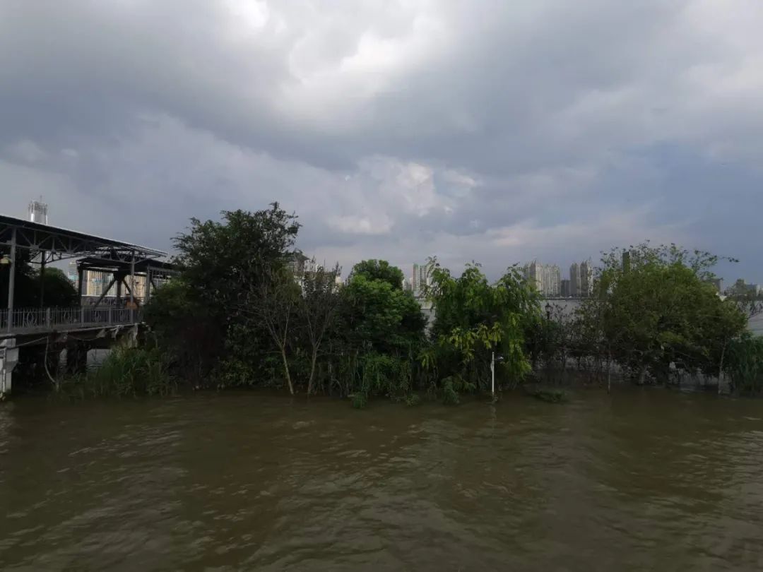 这是一个四个月后重返武汉的故事丨单读