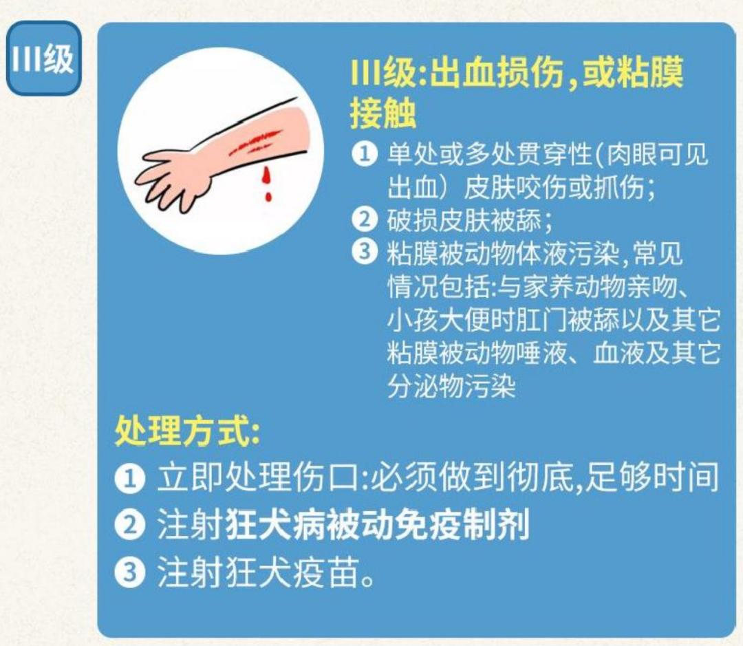 狂犬病的奇谈怪论,关于狂犬病的哲学思考