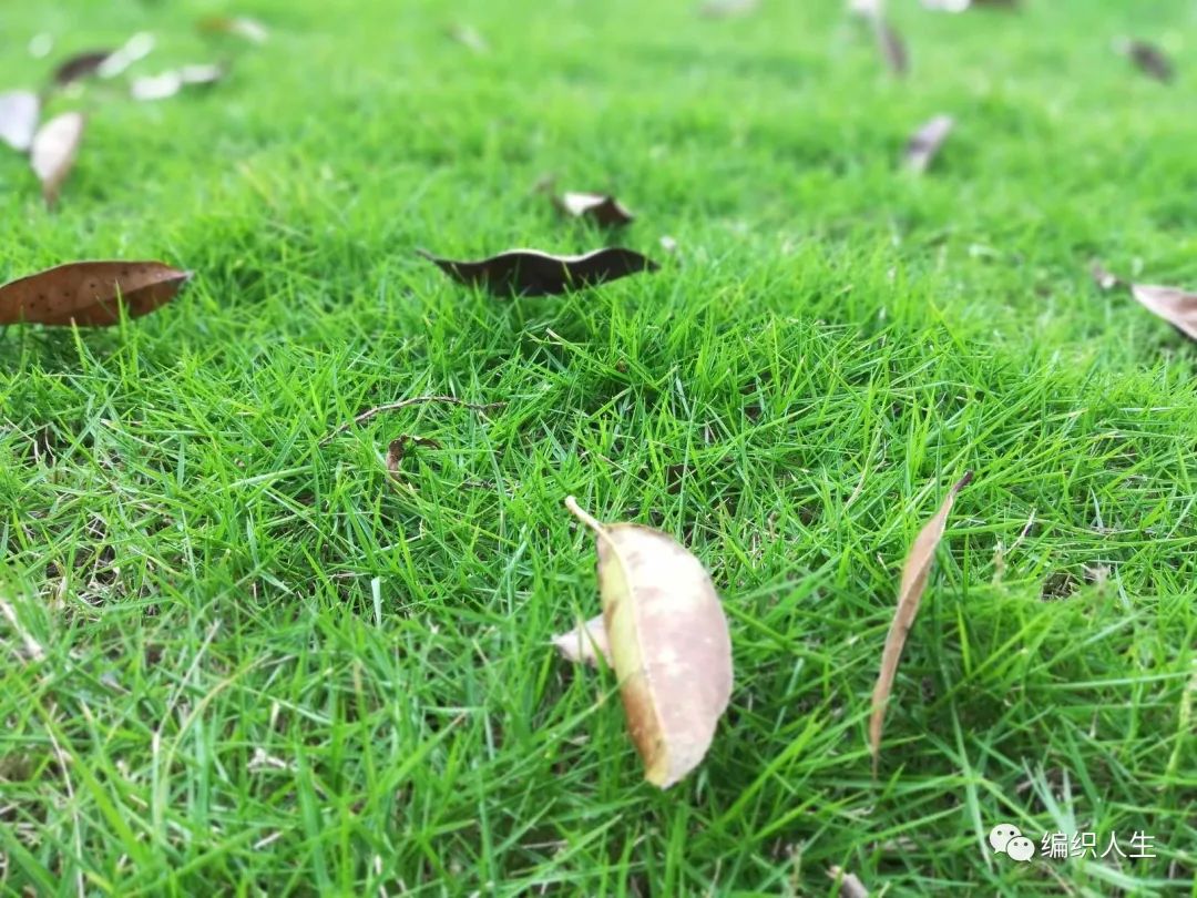 粗蕾丝线钩针编织夏季开衫,钩针蕾丝长款开衫图解