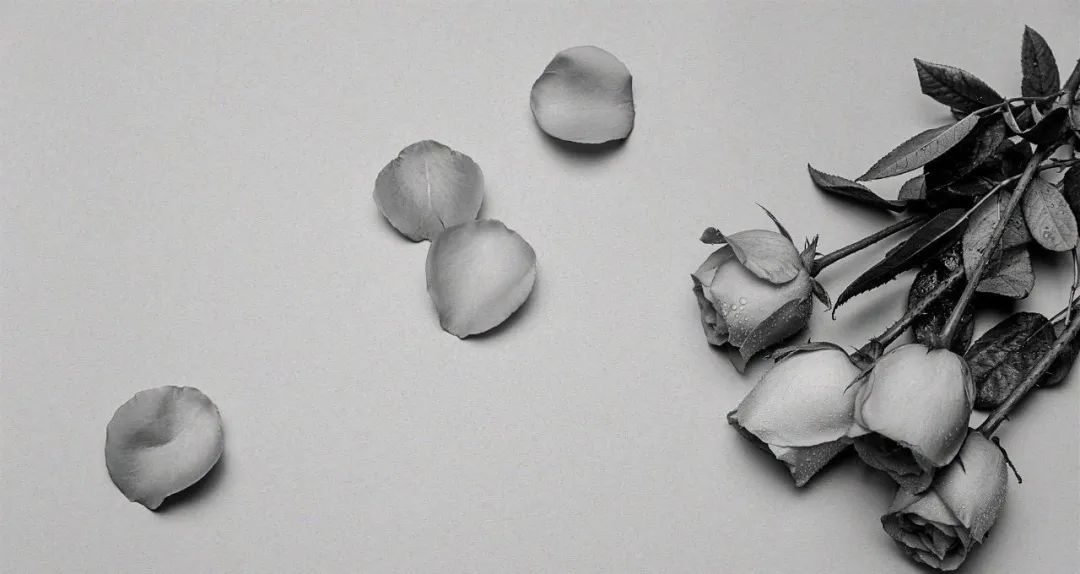 王晓娟医生讲科普|失恋后，她的子宫竟然“掉”出来了