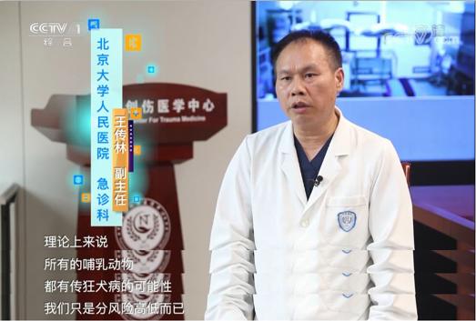 被动物咬伤或抓伤处理方法及顺序,动物抓伤咬伤