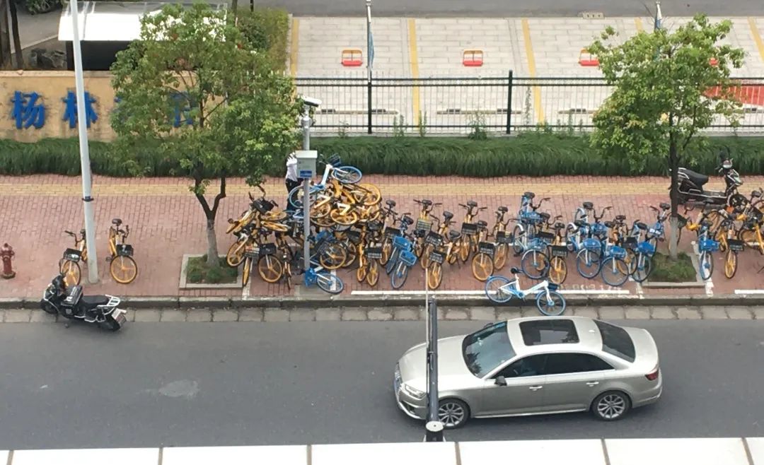 举报违法违纪行为范文,注意这些行为可能会毁掉你的孩子