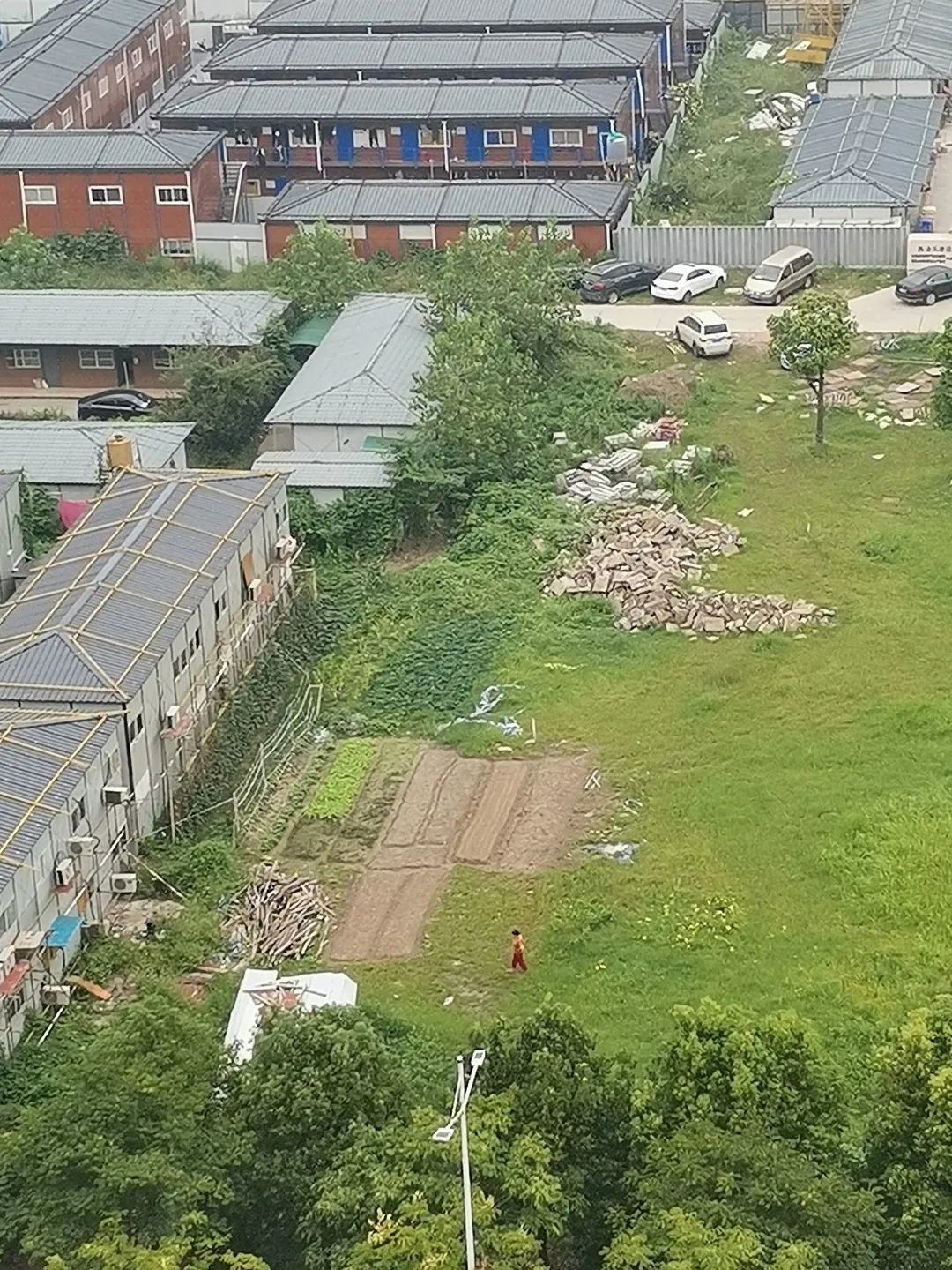 举报违法违纪行为范文,注意这些行为可能会毁掉你的孩子