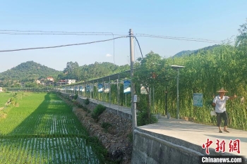 福建南安金淘特产,金淘侨光路