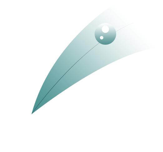 拿下“国字号”金名片！够美够天然，萧山“氧吧”获新称号