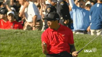 备用杆都能卖100万!盘点:老虎用过的每一支推杆