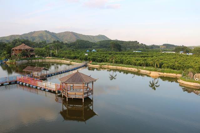 南宁后花园上林旅游景点,世界长寿之乡广西