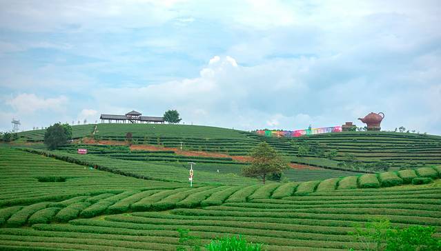 南宁后花园上林旅游景点,世界长寿之乡广西