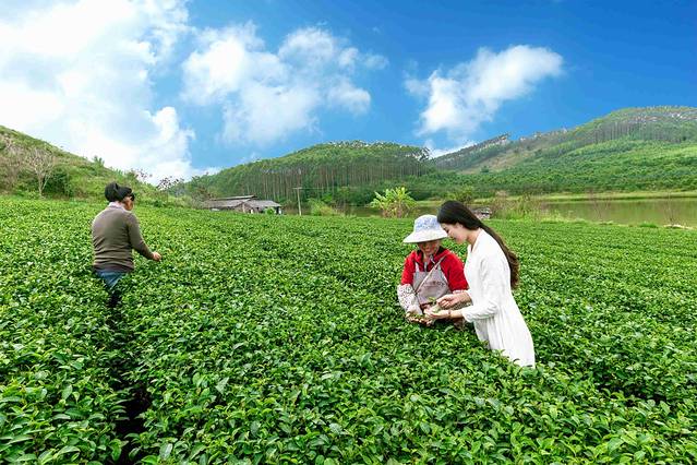 南宁后花园上林旅游景点,世界长寿之乡广西