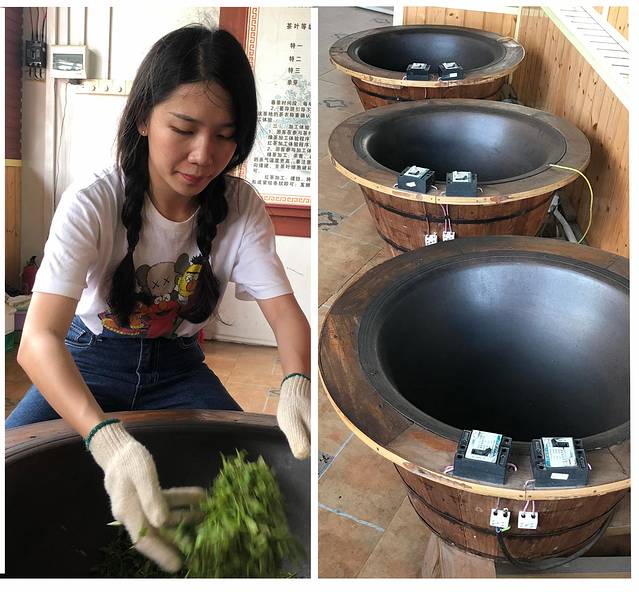 南宁后花园上林旅游景点,世界长寿之乡广西