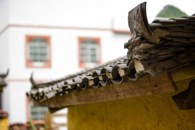 南宁后花园上林旅游景点,世界长寿之乡广西