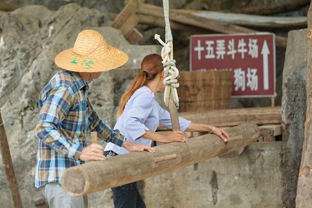 南宁后花园上林旅游景点,世界长寿之乡广西