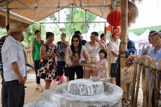 南宁后花园上林旅游景点,世界长寿之乡广西