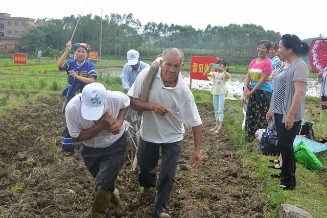 南宁后花园上林旅游景点,世界长寿之乡广西