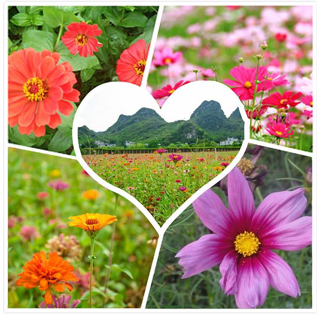 南宁后花园上林旅游景点,世界长寿之乡广西