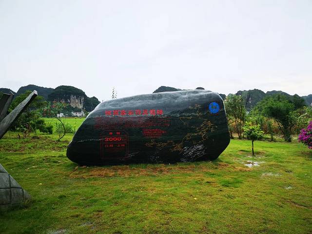 南宁后花园上林旅游景点,世界长寿之乡广西