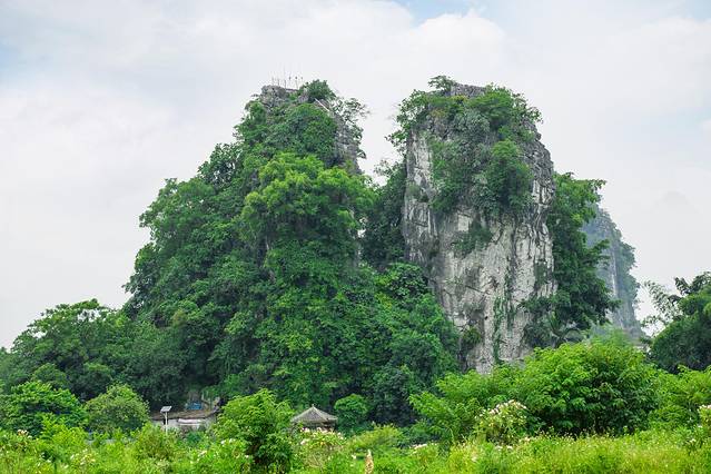 南宁后花园上林旅游景点,世界长寿之乡广西
