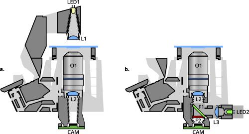 便携式显微镜最便宜多少钱,能买到的最高倍率的显微镜