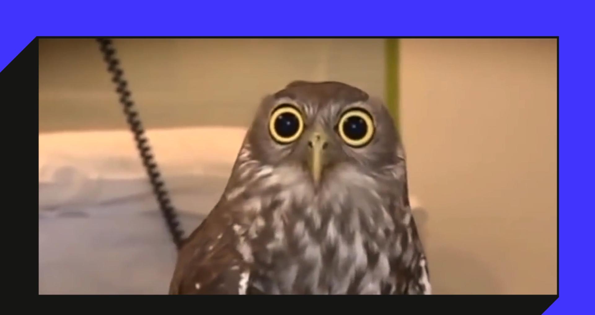 小车打广告,小车后面可以打广告吗视频