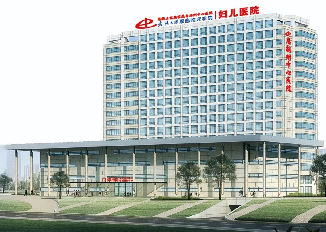 恩施市公立医院有哪家,恩施大型公立医院