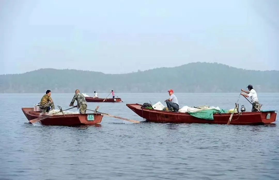 北京最好吃的鱼推荐,京郊哪里的鱼比较好吃