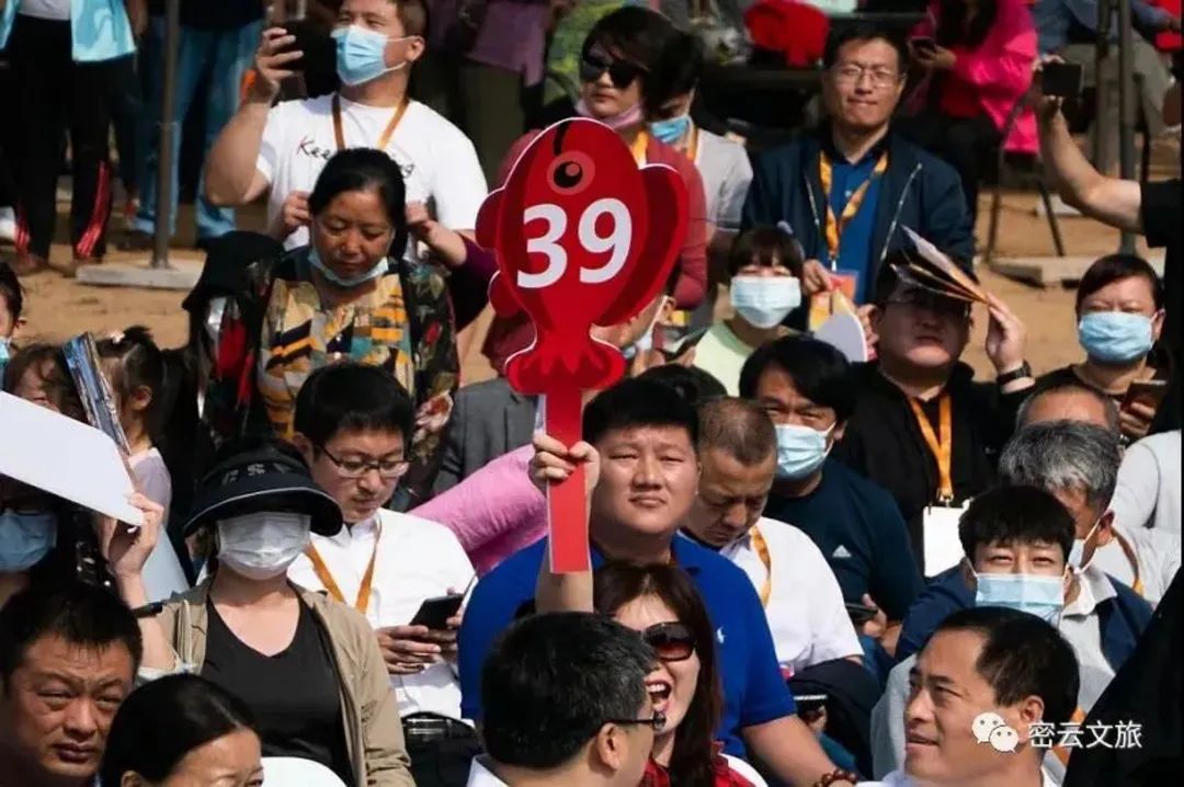 北京最好吃的鱼推荐,京郊哪里的鱼比较好吃