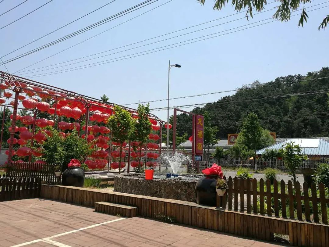 北京最好吃的鱼推荐,京郊哪里的鱼比较好吃