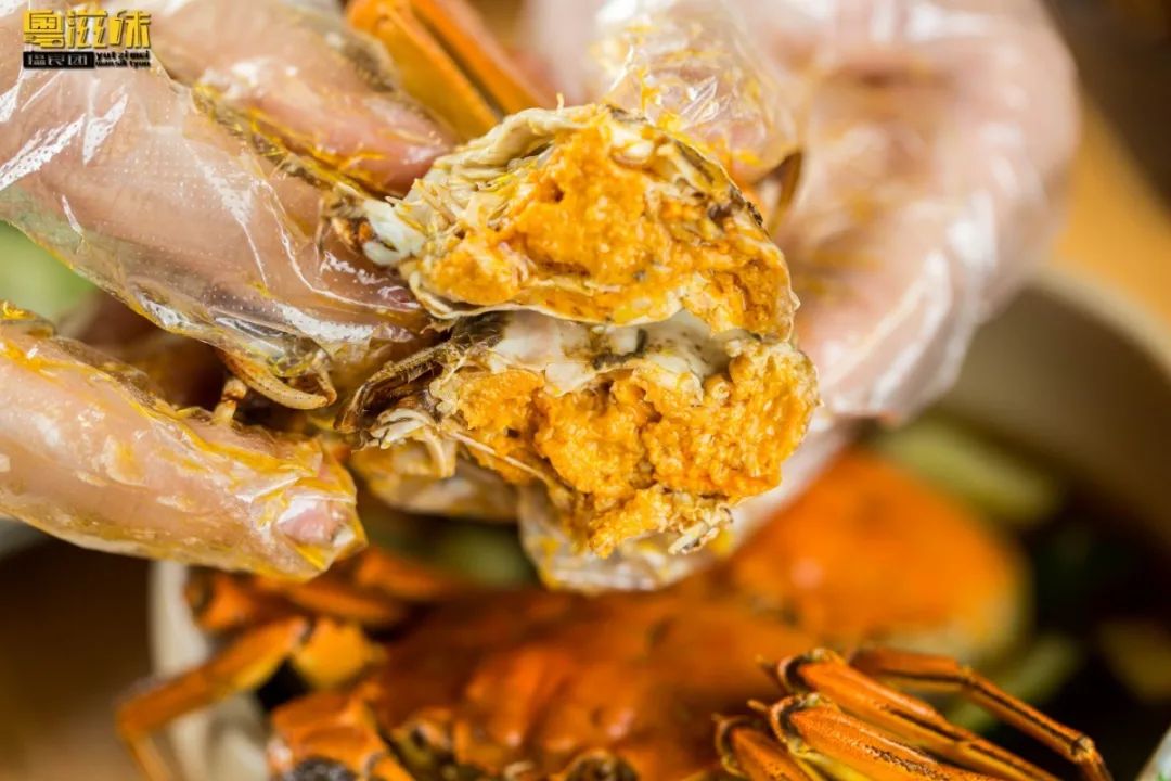 就为这①口,吃一只肥蟹比喝一杯奶茶还便宜