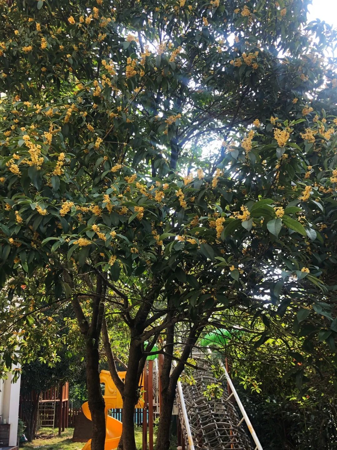 滨江多思创新学校,滨江学校全部排名